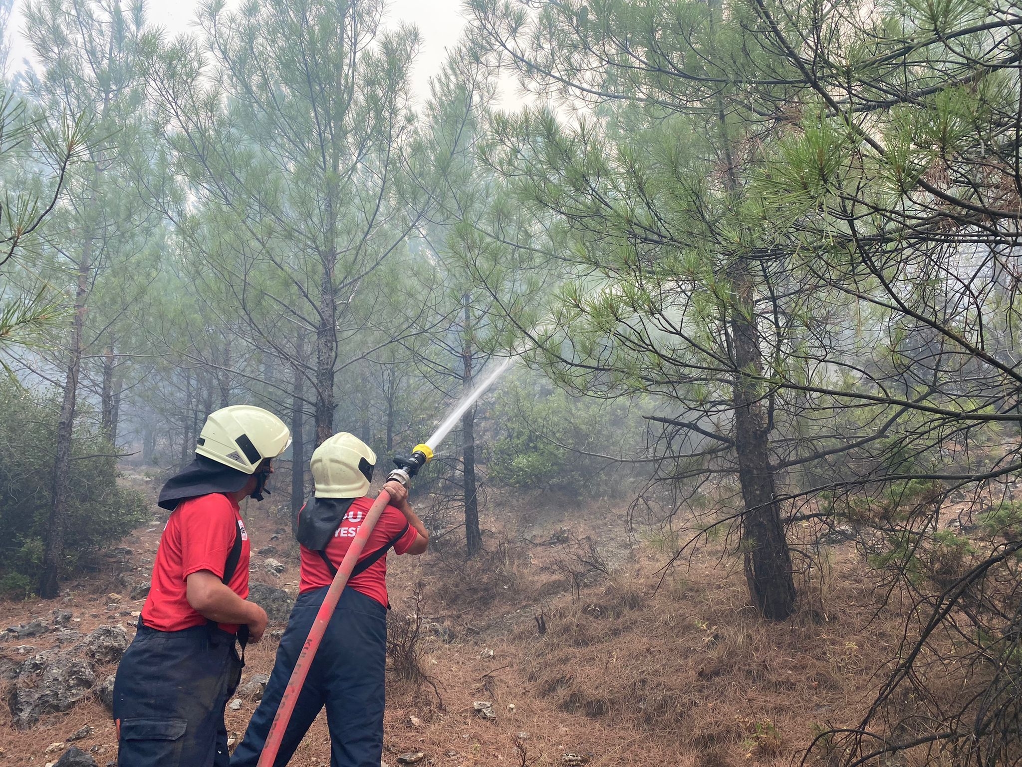 BİRLİKTEN KUVVET DOĞUYOR